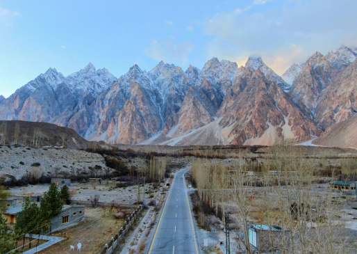 Passu-Cones
